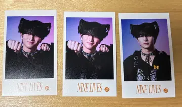 NINE LIVES 초특급 미니 사진 하루 3장 세트