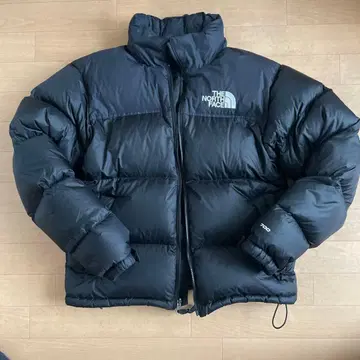 THE NORTH FACE 눕시 700fill