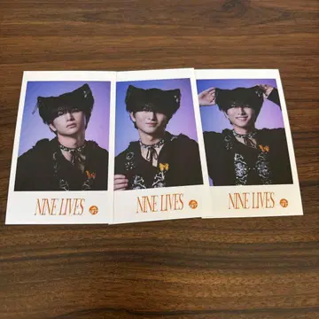 초특급 NINE LIVES REAL? 미니 사진 하루 3장 세트