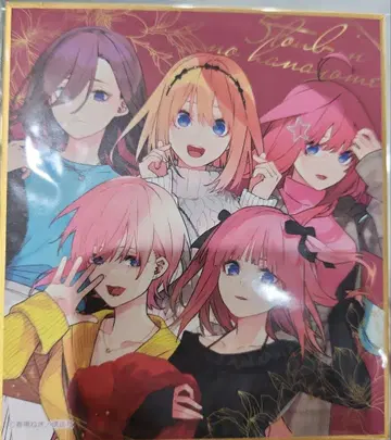 5등분의 신부 아틀레 아키하바라 미니 색지 전원 집합 ver