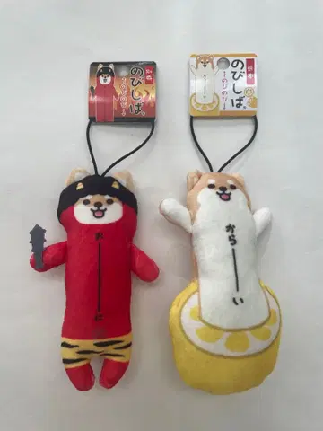 노비시바 오이타 구마모토