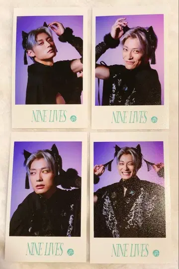 초특급 NINE LIVES 미니 사진 아로하 세미 컴프