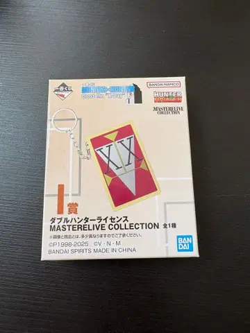 헌터헌터 헌터 라이선스 I상