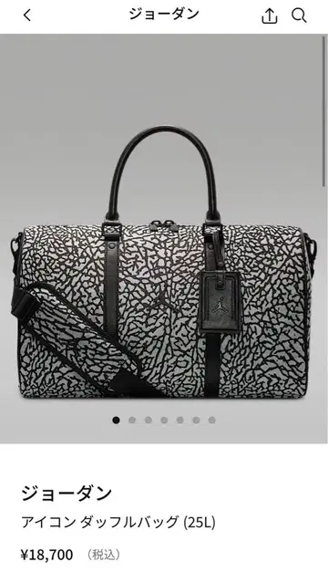 조던 아이콘 더플백 25L