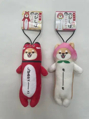 노비시바 후쿠시마 신슈