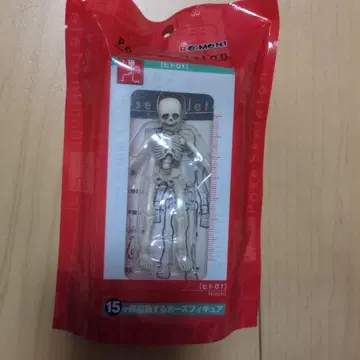 포즈 스켈레톤 인간 01