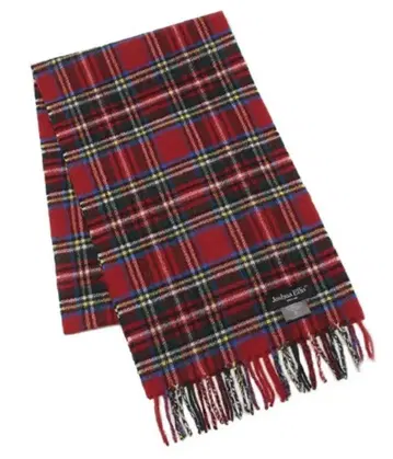 Joshua Ellis 체크 무늬 머플러