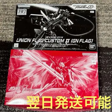 HG GN 플래그 데스티니 건담 SpecII 최종 결전 이미지 컬러
