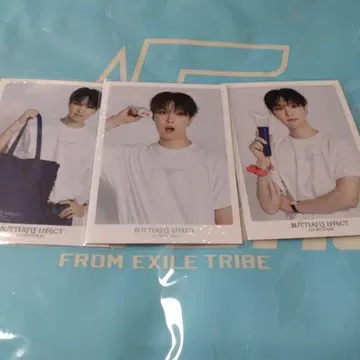 호리 나츠키 포토 카드 시크릿 시크레 컴프 세트