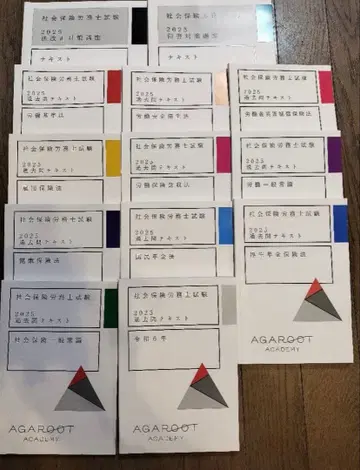 [ 2025년도 ] 사회보험 노무사 아가루트 기출문제 텍스트 세트