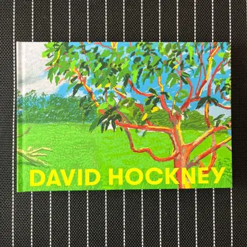 [새상품급] 호크니 David Hockney 도쿄도 현대미술관 도록