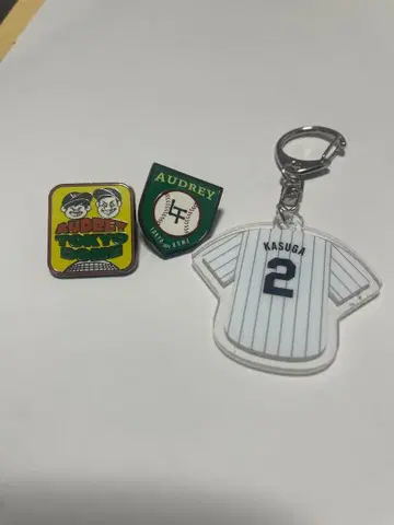 오드리 올 나이트 닛폰 in 도쿄돔 핀 배지 키링