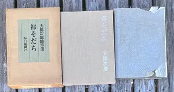 대불지로 수필집 도시성장