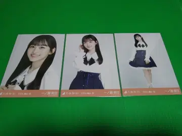 노기자카46 [이치노세 미쿠] 장미 모티브 브로마이드 3종 컴프