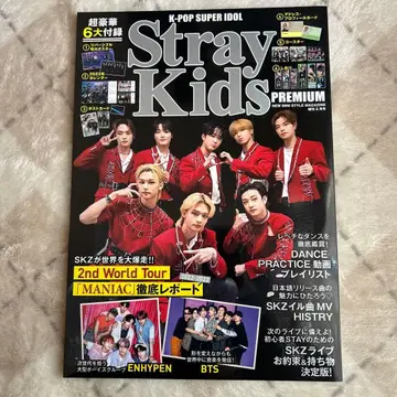 Stray Kids PREMIUM 매거진