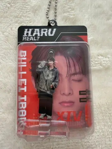 초특급 REAL? 하루 블리스터 키링