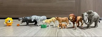 아니아 묶음 판매