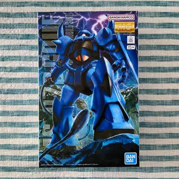 MG 건담 프라모델 [ MG 구프 Ver.2.0 ] 익명 배송