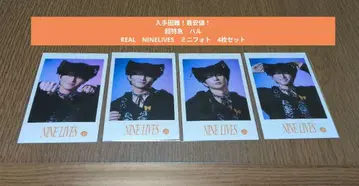 초특급 하루 REAL NINELIVES 미니 사진 세미 네이비 4장 세트