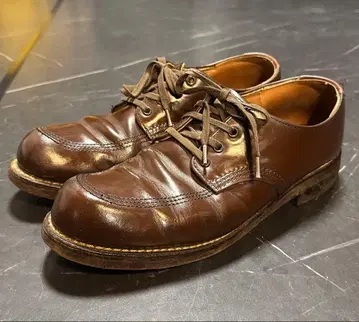 레드윙 차고맨 10D 9202 레드윙