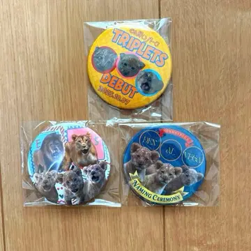 논호이 파크 사자 어린이 캔뱃지 3개 세트 동물원