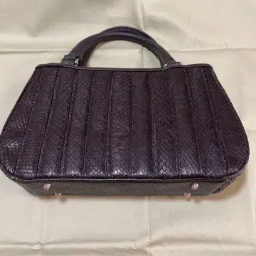 파충류 백 블랙