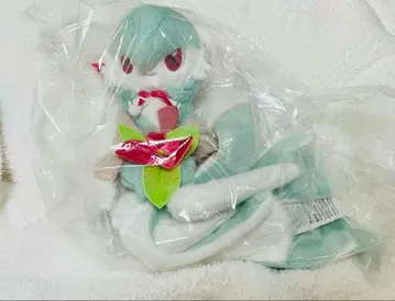 포켓몬 센터 크리스마스 서나이트 봉제 인형