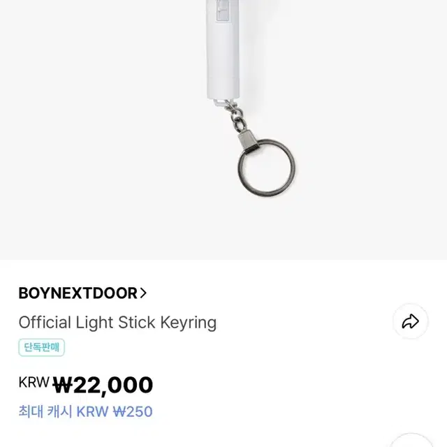 보이넥스트도어 응원봉 키링