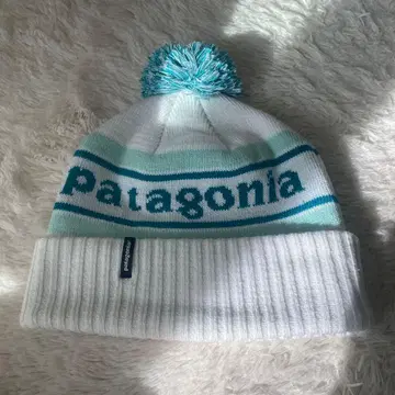Patagonia 폼폼 포함 니트 모자 Powder Town Beanie
