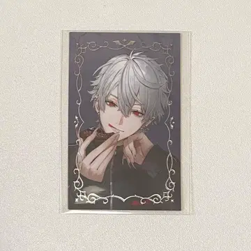 쿠츠하 사진풍 카드 금박