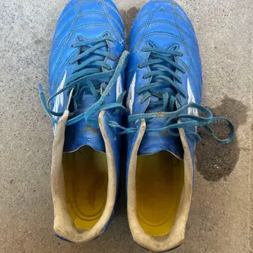 미즈노 모나르시다 27.5