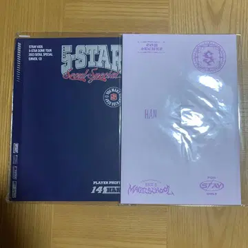 straykids 한지성 프로필 세트