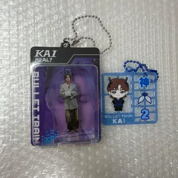 초특급 카이 블리스터 키링 플라스틱 모델풍 키링