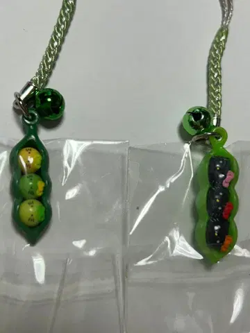 지역 한정 키티 야마가타 한정 효고 한정 콩