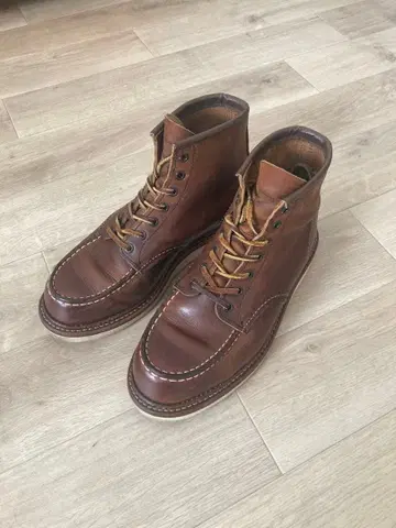 레드윙 1907 US 7.5