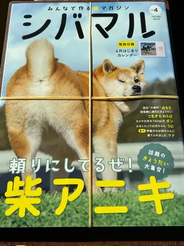 [ 새상품 ] 시바말 Vol.4 (타츠미 뭬크)