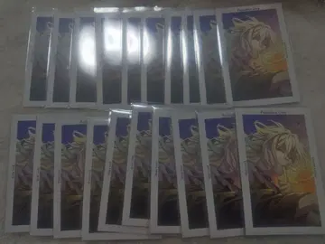 파라라이 6주년 팝업 스토어 G프리 카이다 시온