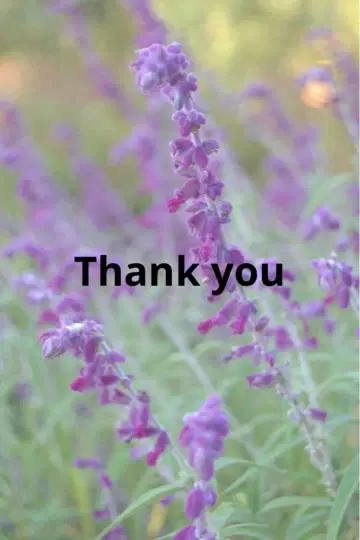 조 님 요청품 숄더백 블랙 스무스 가죽