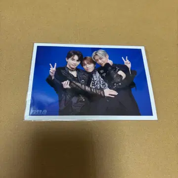 초특급 브로마이드 연결 NINELIVES REAL?