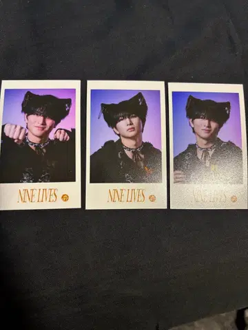 초특급 NINELIVES 하루 미니 사진 3장 세트