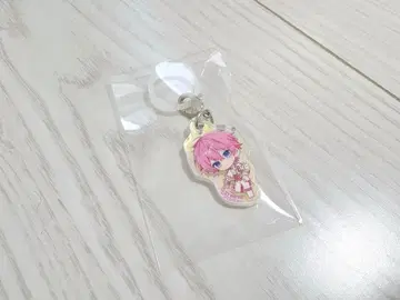 STPRfamily 랜덤 오로라 참 사토미 군