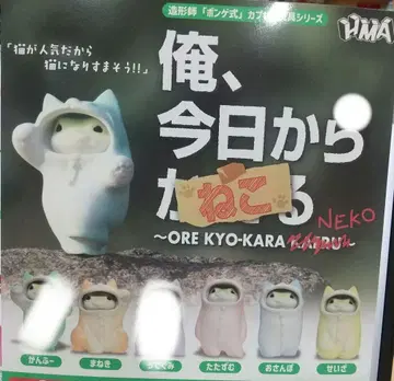 나, 오늘부터 고양이