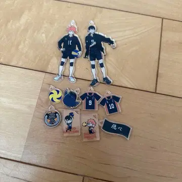 하이큐!! 아크릴 키링 세트