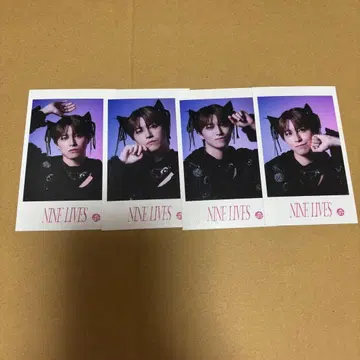 초특급 타카시 미니 사진 NINELIVES REAL?