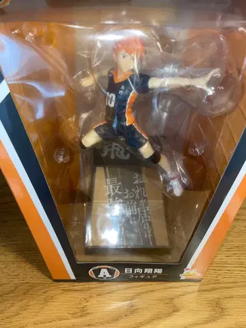 제일복권 하이큐!! 히나타 쇼요 피규어