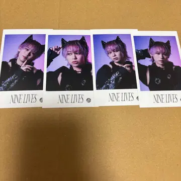 초특급 슈야 미니 사진 NINELIVES REAL?