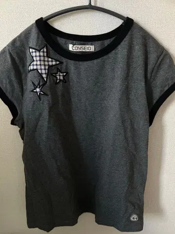Coyseio 그레이 별 자수 T셔츠