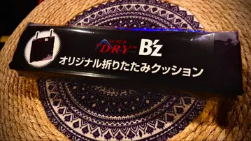 B'z 오리지널 접이식 쿠션