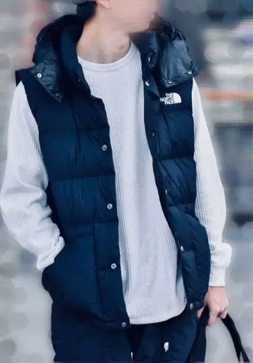 THE NORTH FACE 다운 베스트 [ 인기 ] 캠핑 시에라 베스트