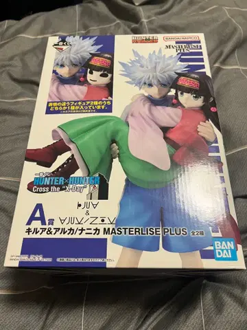 HUNTER x HUNTER 제일복권 A상 Cross the X-Day